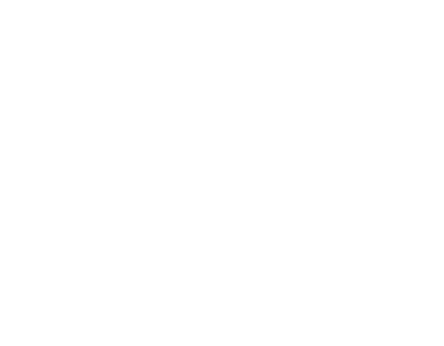 IDEA