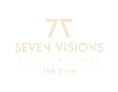 Seven Vision